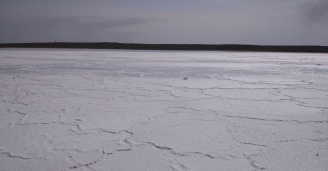 Фото Удивительное рядом №22