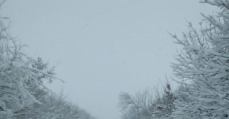 Фото И среди «физиков»  бывают мечтатели №5